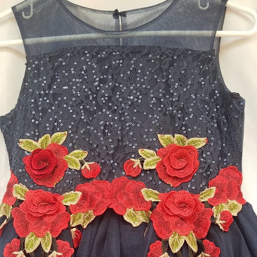 Nanette Lepore Girls Navy/Red Roses Applique Tulle Dress, Size 14, RN#102036